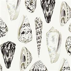 Coquina - Scalamandre - Graphite