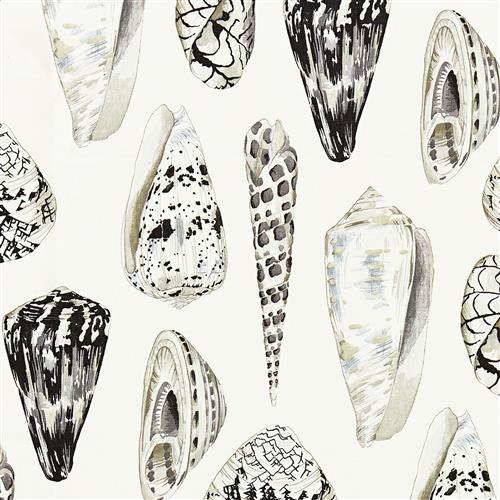 Coquina - Scalamandre - Graphite