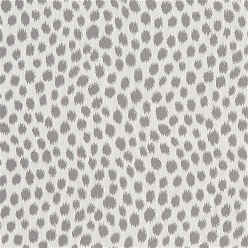 coach-crypton-home-fog