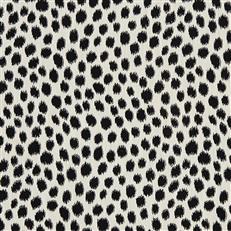 Coach - Crypton Home - Tuxedo