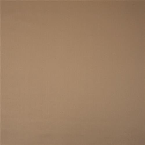 sateen-camel