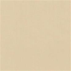 Lustrous Satin - 111 Chamois