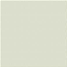 Pepper - Vern Yip Performance - White
