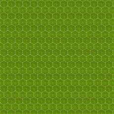 tenley-vern-yip-forest