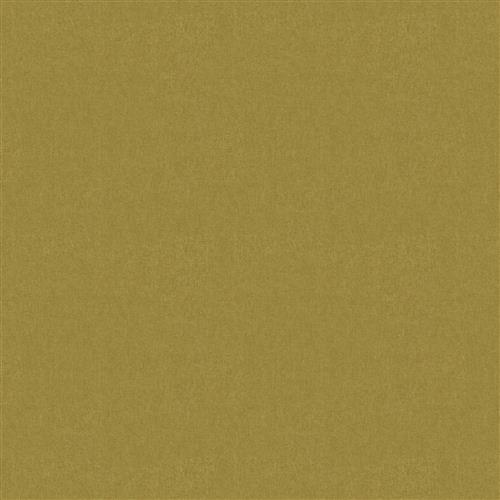 sepulveda-camel