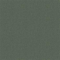 Sepulveda - Graphite