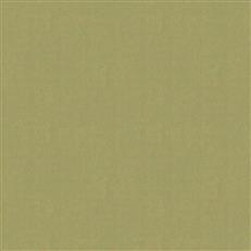 Sepulveda - Tan