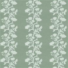 Kenley (Fc) - Dusty Miller
