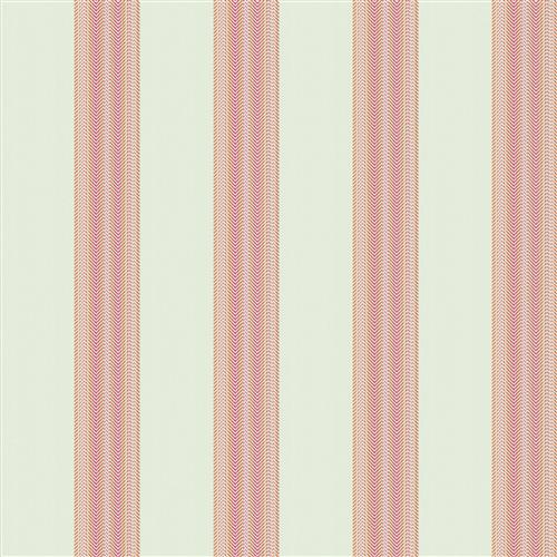 nasir-fc-pansy