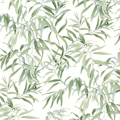 GO8241 - Greenhouse Wallpaper - Willow Grove