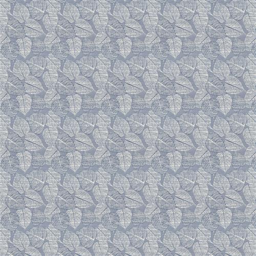 catawba-frost