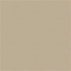 Pruitt - Beige