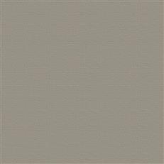 Pruitt - Pebble