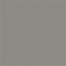 Pruitt - Pewter