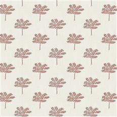 Pecos (Fc) - Echo - Coral