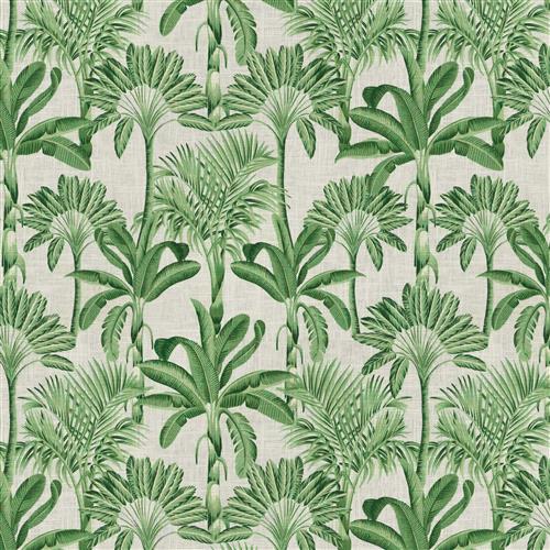 chimayo-fc-echo-palm