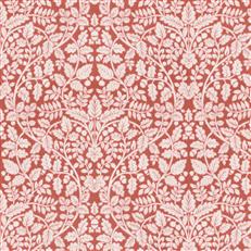 Portales (Fc) - Echo - Coral