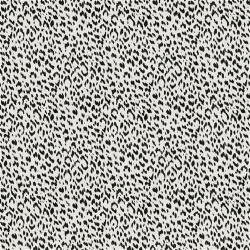 artesia-fc-echo-black-white