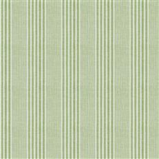 Jarales (Fc) - Echo - Green