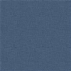 Adelino (Fc) - Echo - Blue
