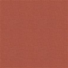 adelino-fc-echo-coral