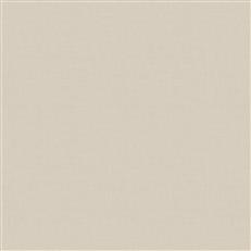 adelino-fc-echo-ivory