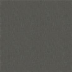 Tome (Fc) - Echo - Graphite