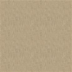 Tome (Fc) - Echo - Linen