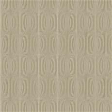 Carnuel (Fc) - Echo - Almond