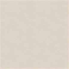 Berino (Fc) - Echo - White
