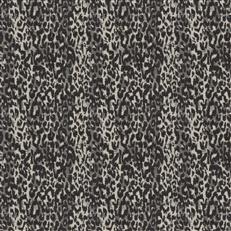 Tiki Od (Fc) - Bella Dura - Evening