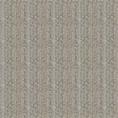 Warmwinds Od (Fc) - Bella Dura - Birch