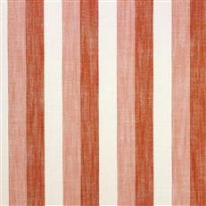 Seger Stripe (Ri) - Coral