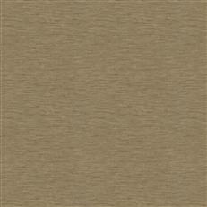 Chalbi (Fc) - Khaki