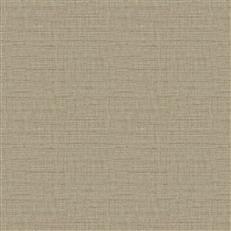 Tomesha (Fc) - Beige