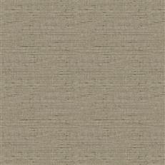Tomesha (Fc) - Taupe