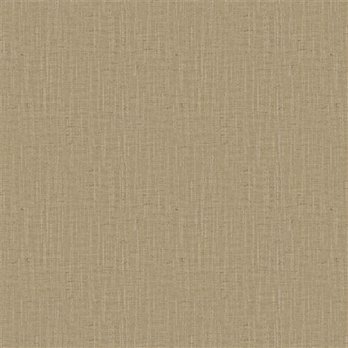 dawson-fc-camel