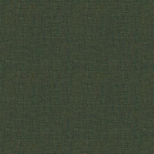 katpana-fc-rainforest