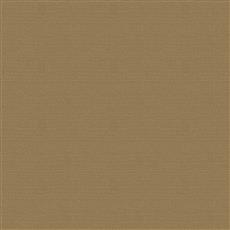 Courtyard - All Spice