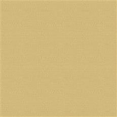 Indus - Sand