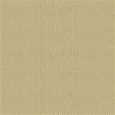 Mustang - Almost Gold