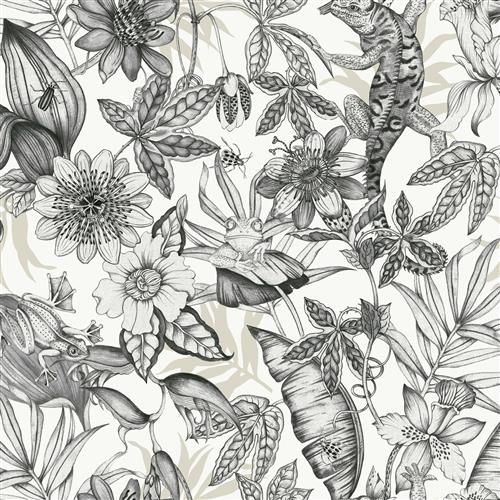 BL1703 - Blooms Second Edition Wallpaper Rainforest