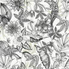BL1703 - Blooms Second Edition Wallpaper Rainforest