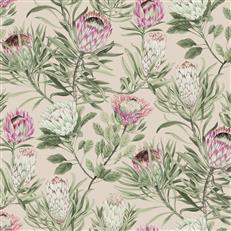 BL1751 - Blooms Second Edition Wallpaper Protea