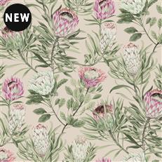 BL1751 - Blooms Second Edition Wallpaper Protea