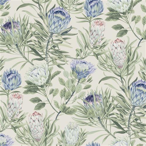 BL1753 - Blooms Second Edition Wallpaper Protea