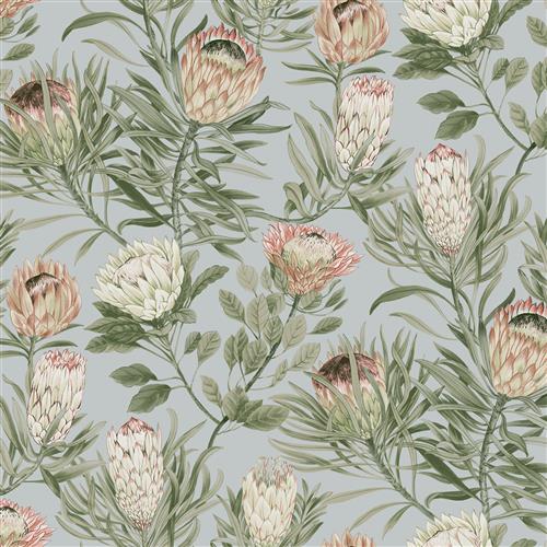 BL1755 - Blooms Second Edition Wallpaper Protea