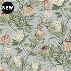 BL1755 - Blooms Second Edition Wallpaper Protea