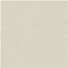 ND3007N - Natural Digest Wallpaper Dandy