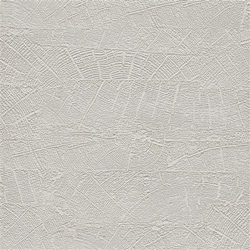 ND3065N - Natural Digest Wallpaper On Deck